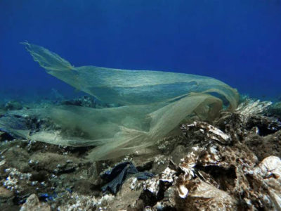 Die Ansammlung von Mikroplastik im Meer wird durch bodennahe Strömungen beeinflusst