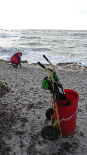 Beach clean up